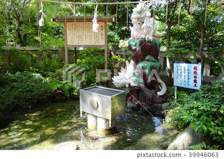 Senry white dragon king Senry white dragon king 39946063