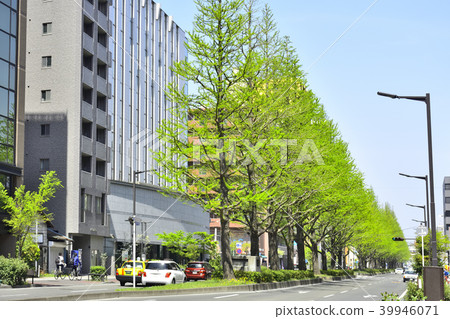 仙台市Bansui Street從Kasugacho周圍向北看 39946071