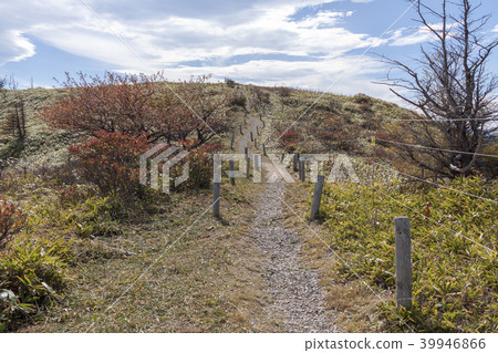 Autumn leaves of the Mikahara Plateau Autumn leaves of the Mikahara Plateau 39946866