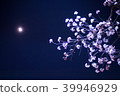 Cherry blossoms at night 39946929