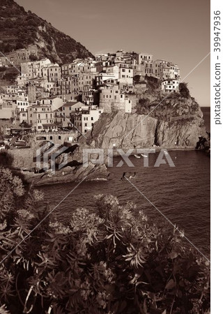 Manarola in Cinque Terre black and white 39947936