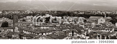 Lucca skyline tower panorama 39948966