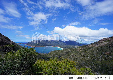 澳大利亞 澳洲 澳大利亞人 39950381