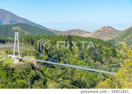大分Yume大型吊橋 大分Yume大型吊橋 39951881