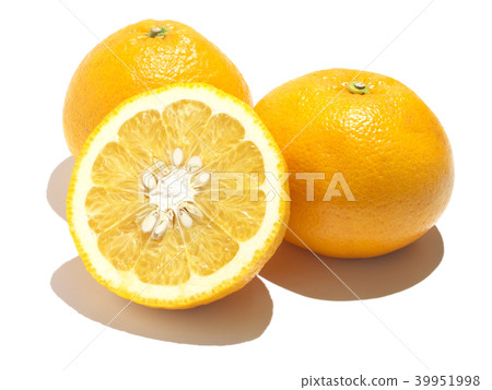 夏季橘子（Anaatsu-Amanatu）Kawano Natsu Daidai-Kumamoto，Reihoku區 39951998