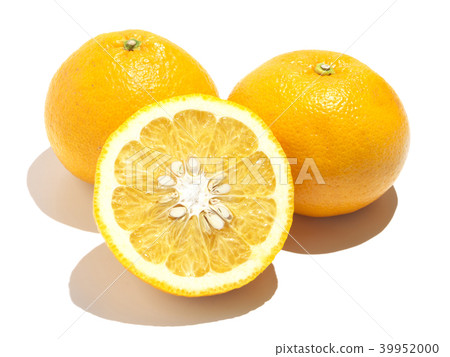 夏季橘子(Anaatsu-Amanatu)Kawano Natsu Daidai-Kumamoto,Reihoku區 夏季橘子(Anaatsu-Amanatu)Kawano Natsu Daidai-Kumamoto,Reihoku區 39952000