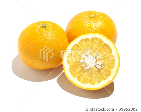 Summer oranges (Anaatsu-Amanatu) Kawano Natsu Daidai-Kumamoto Prefecture, Reihoku district 39952002