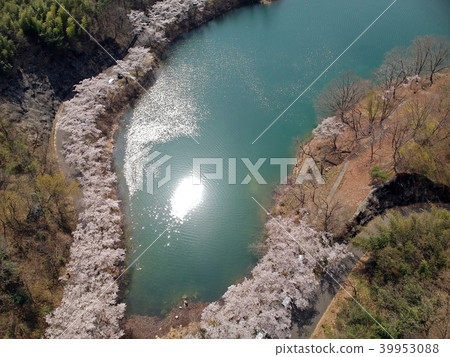 Lake Oshio Sakura Lake Oshio Sakura 39953088