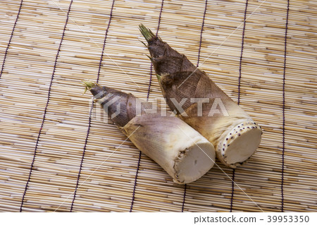 Season of bamboo 39953350