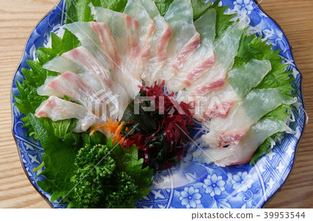 鯛魚生魚片 照片素材 圖片 圖庫