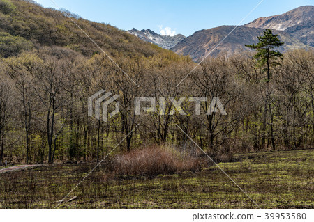 Kyuzan Mountain Iozan Kyuzan Mountain Iozan 39953580