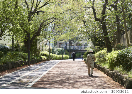 新的綠色長廊 新的綠色長廊 39953611