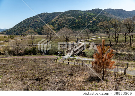 Tadahara Mogara 39953809