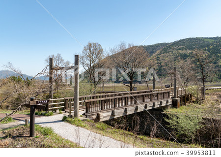 Tadahara Mogara 39953811