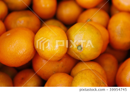 Wenzhou oranges Wenzhou oranges 39954745
