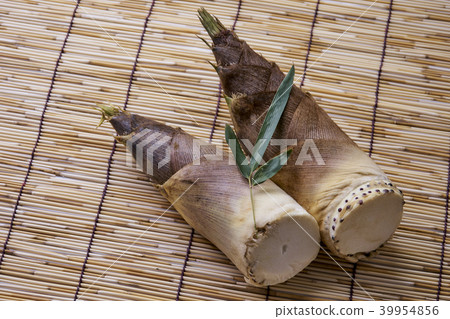 Season of bamboo 39954856