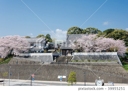 Seitokuji panoramic view 39955251