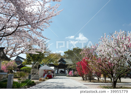 Taga Shrine Tower Gate 39955779