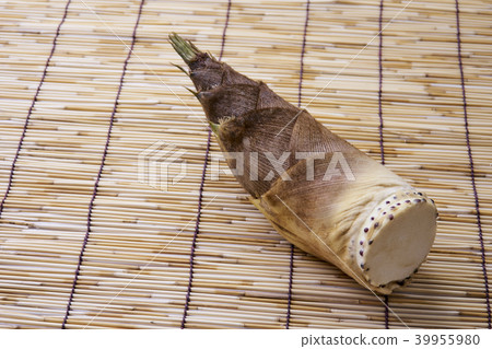 Season of bamboo 39955980