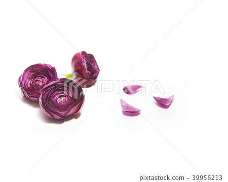 花和花瓣 花和花瓣 39956213