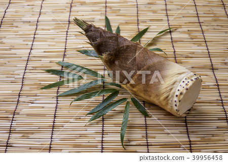 Season of bamboo 39956458