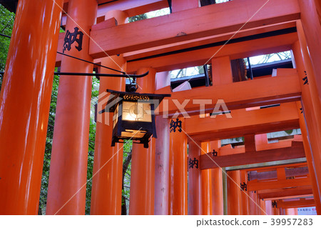 伏見稻荷神社Torii Torii 39957283