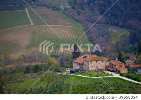 Typical Tuscan landscape 39959054
