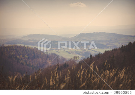 View at mountain of Low Silesia 39960895