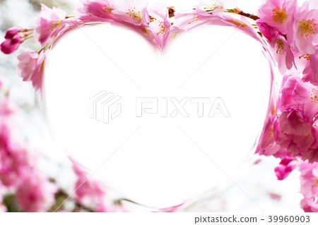 Heart shape frame with pink cherry blossom Heart shape frame with pink cherry blossom 39960903