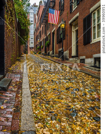 The Fall on Acorn Street ,Boston 39960951