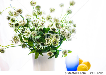 Table coordination Table coordination 39961204