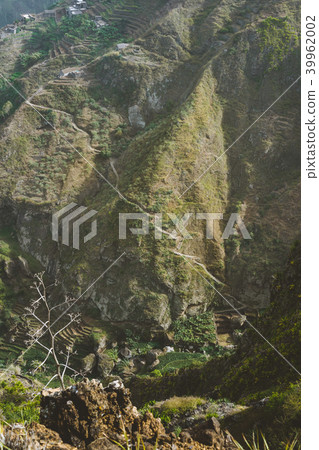 Incredible view of the steep mountain and path to green ravine. Huge agave plants in foreground in Incredible view of the steep mountain and path to green ravine. Huge agave plants in foreground in 39962002