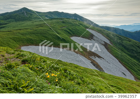 在Iide山脈，Onishi-dake和Iideyo主要山附近的花田 39962357