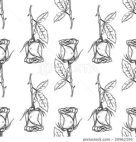 Vector hand drawn rose seamless pattern - Stock Illustration [39962395 ...