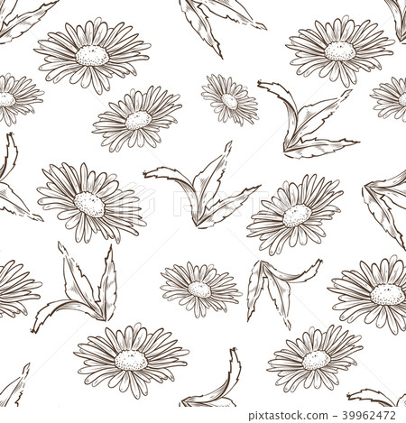 Vector chamomile seamless pattern - Stock Illustration [39962472] - PIXTA