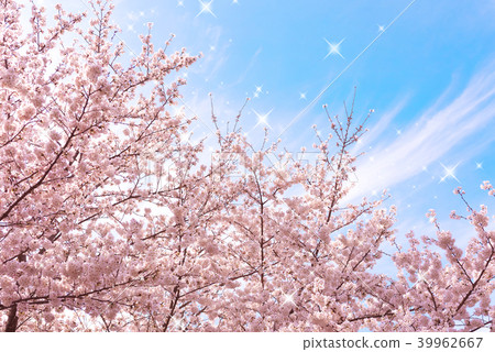 Spring Spring 39962667