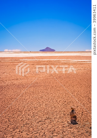 Drought in Altiplano in bolivia 39963411