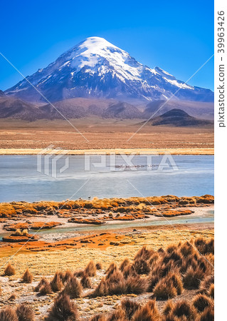Snowcapped Nevado Sajama volcano 39963426
