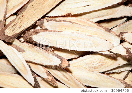 黃耆 黃芪 北芪 中藥材 Astragalus Chinese medicine ゲンゲ 39964796