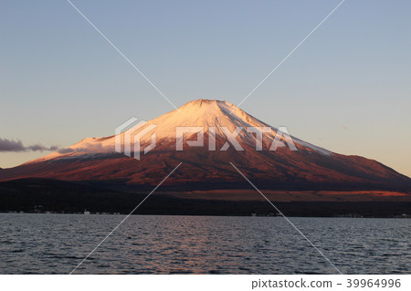 富士在早晨的陽光下染色 富士在早晨的陽光下染色 39964996