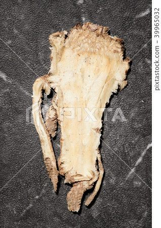 Chinese medicine Angelica sinensis Chinese medicine Angelica Chinese medicine Angelica sinensis Chinese medicine Angelica 39965032