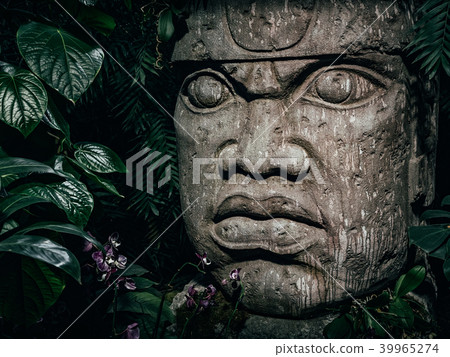 Olmec sculpture carved from stone. Big stone head statue in a jungle Olmec sculpture carved from stone. Big stone head statue in a jungle 39965274