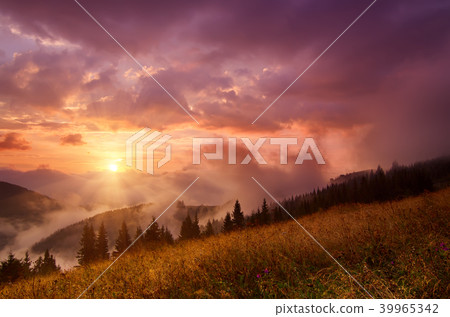 Foggy morning landscape Foggy morning landscape 39965342