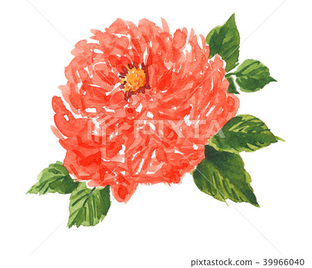 bloom, blossom, blossoms 39966040