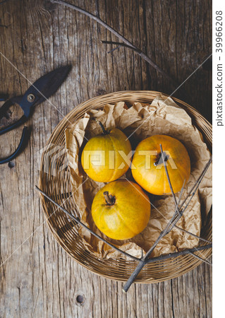 Lucuma fruits-Eggfruits 39966208