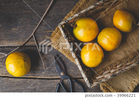 Lucuma fruits-Eggfruits 39966221