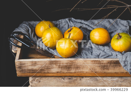 Lucuma fruits-Eggfruits Lucuma fruits-Eggfruits 39966229