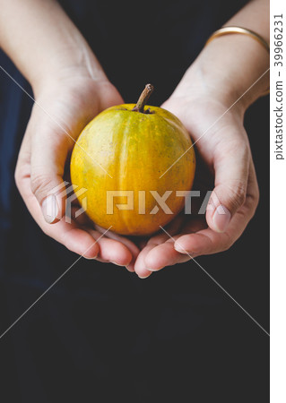 Lucuma fruits-Eggfruits 39966231