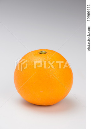 Yanagicho Yanagi Orange Tachibana Citrus White-bottom Orange Orange Citrus oranges 39966431