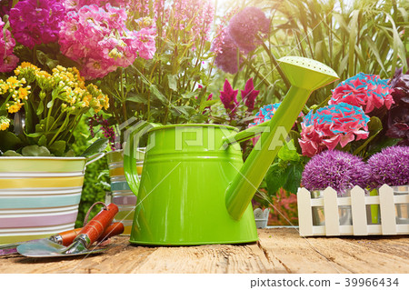 Gardening tools and flowers on the terrace Gardening tools and flowers on the terrace 39966434